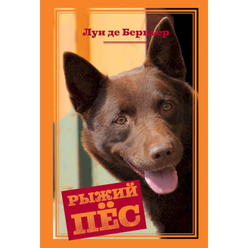 Рыжий пёс
