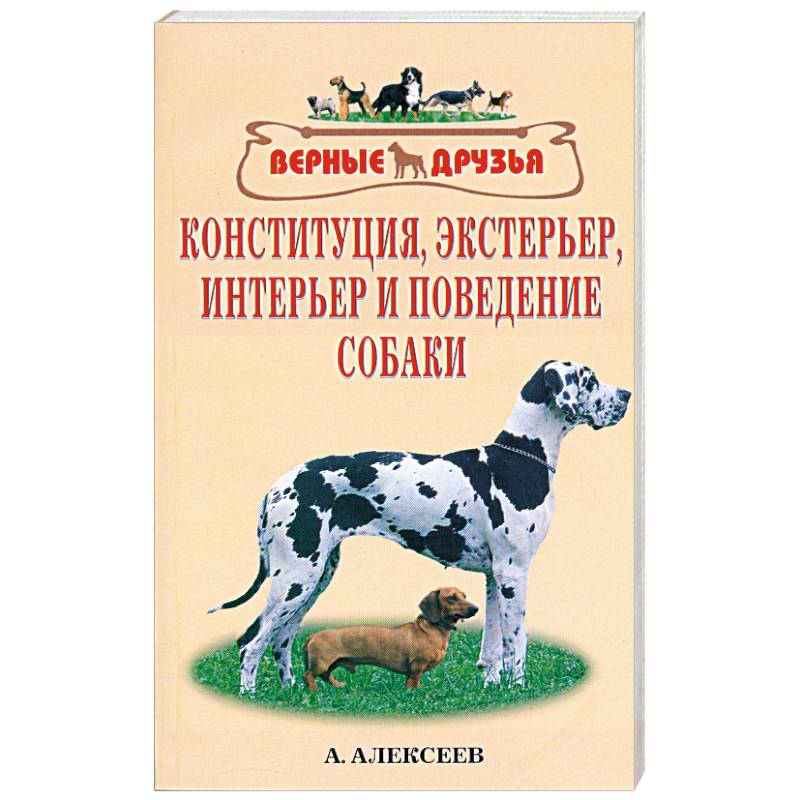 Книга налоговые схемы за которые посадили ходорковского