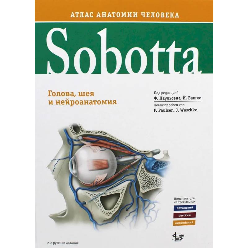 Sobotta. Атлас анатомии человека. В 3 томах. Том 3. Голова, шея и нейроанатомия