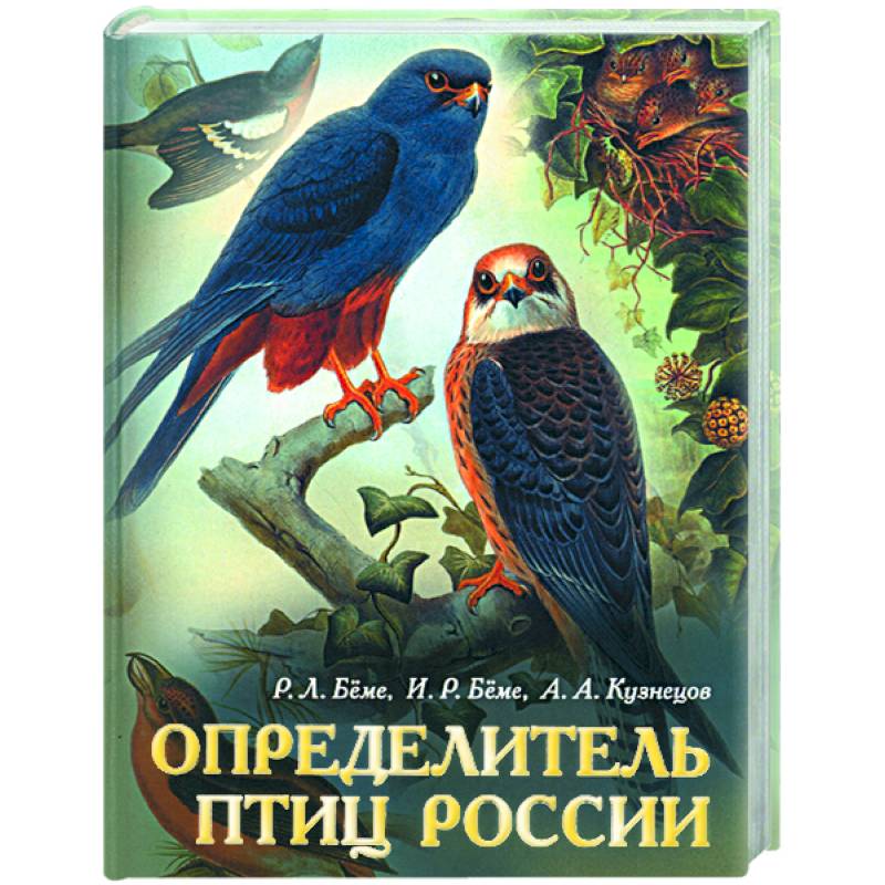 Определитель птиц. Птицы России. Определитель. Прибор определитель птиц. Определитель птиц книга. Птицы России энциклопедия-определитель.