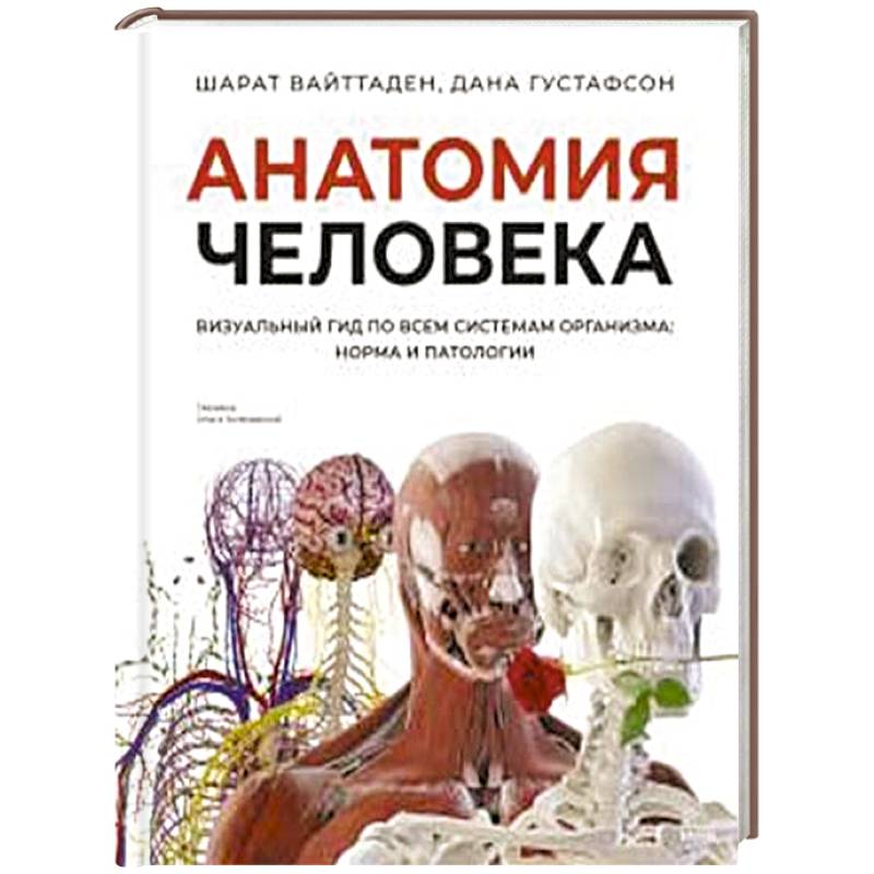 Анатомия человека. Визуальный гид по всем системам организма: норма и патологии