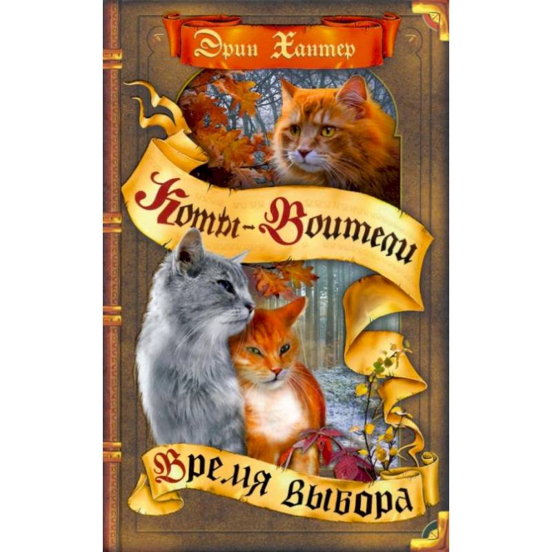 Коты-воители. Время выбора