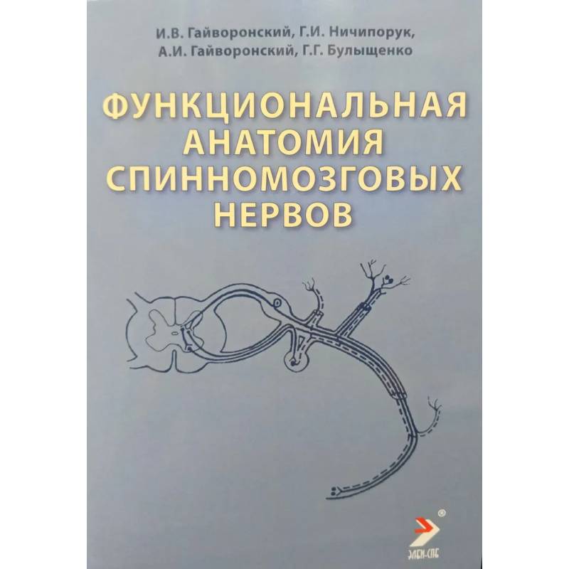 Функциональная анатомия спинномозговых нервов: Учебное пособие