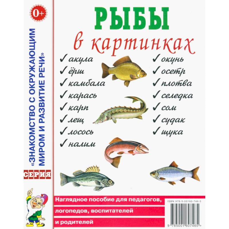 Рыбы в картинках. Наглядное пособие для педагогов, логопедов, воспитателей и родителей