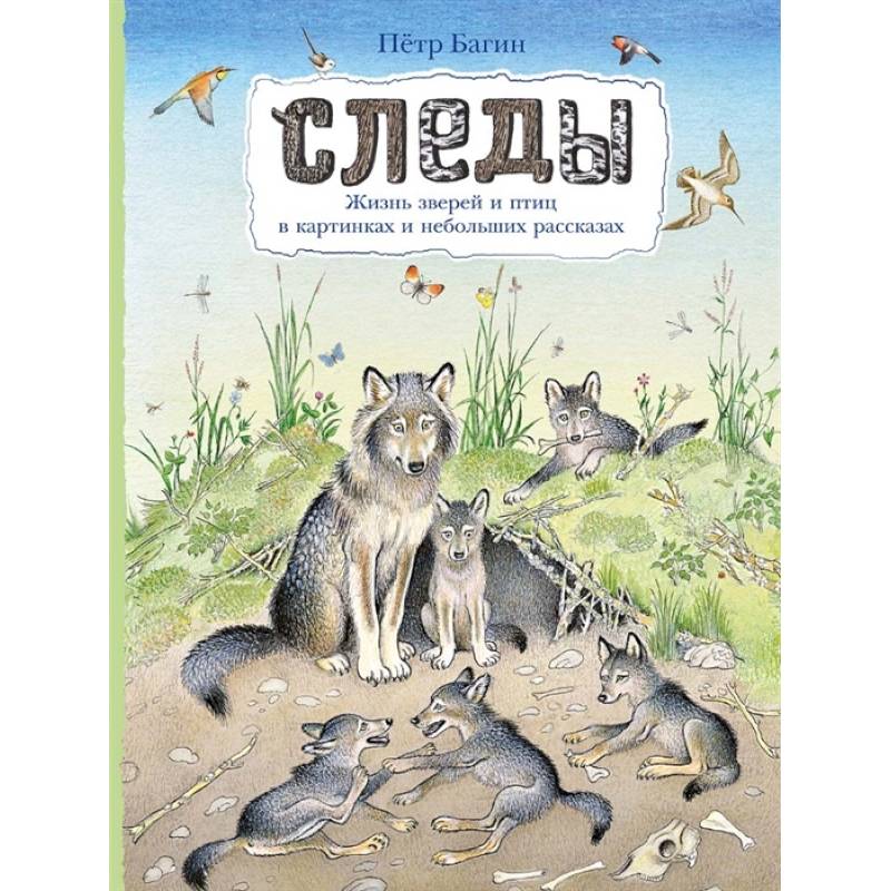Следы. Жизнь зверей и птиц в картинках и небольших рассказах