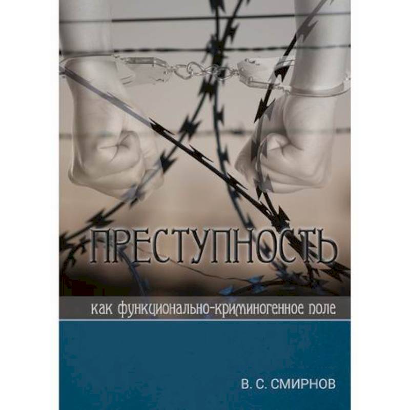 Преступность как функционально-криминогенное поле Преступность как функционально-криминогенное поле