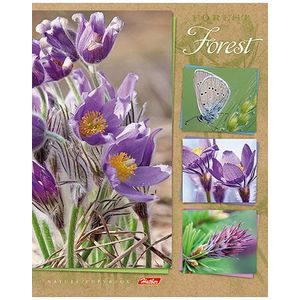 Тетрадь общая 'Душа леса' (48 листов, А5, клетка, в ассортименте) (48Т5вмВ1)