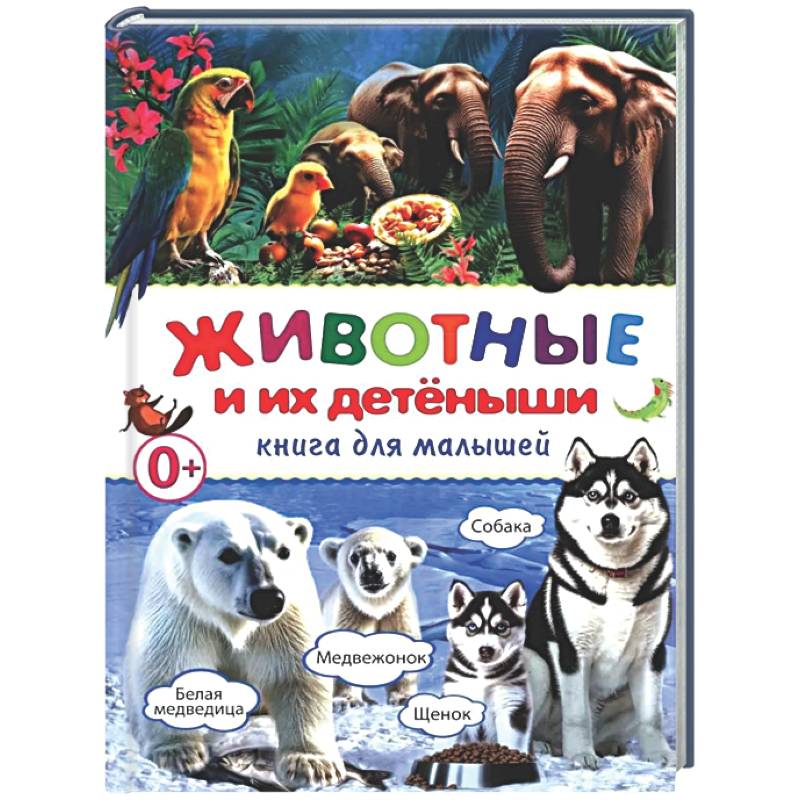 Животные и их детеныши. Книга для малышей