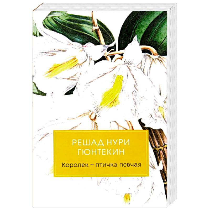 Королек - птичка певчая