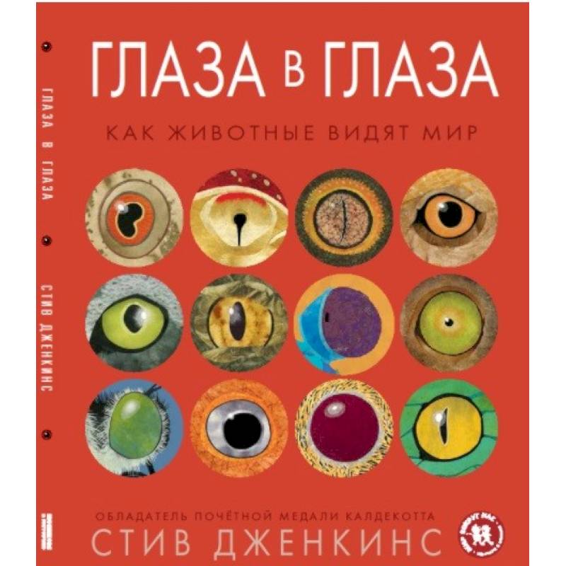 Глаза в глаза. Как животные видят мир