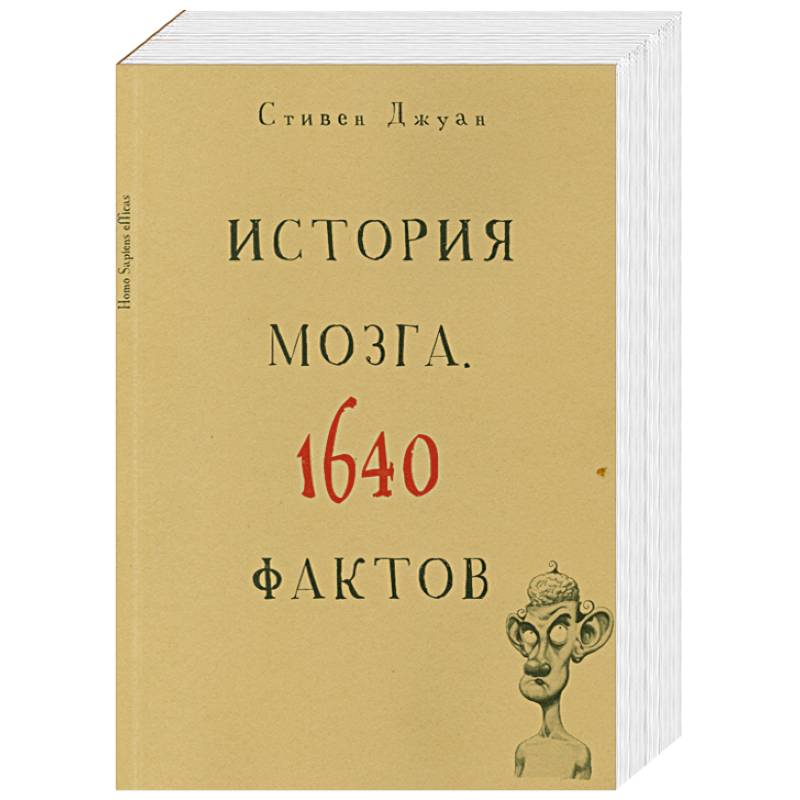 История мозга. 1640 фактов