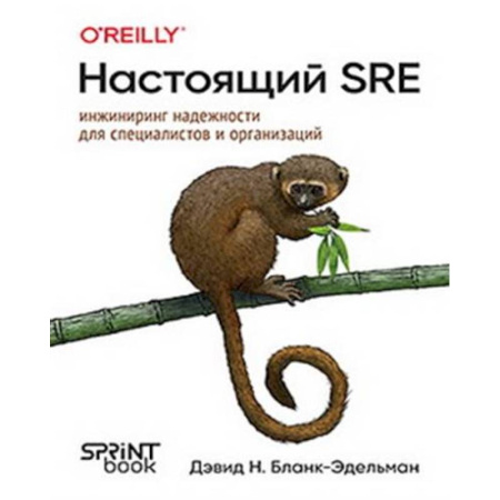 Информационные технологии, книга Настоящий SRE: инжиниринг надежности для специалистов и организаций купить по скидке