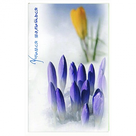 Молитвословы, акафисты, каноны, книга Учимся молиться. Краткий молитвослов для начинающих купить по скидке