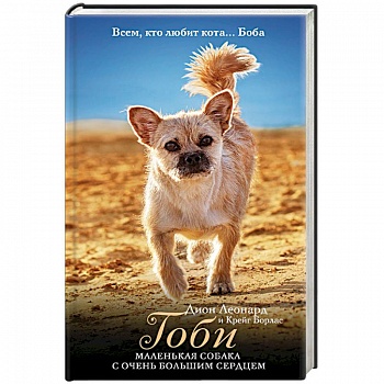 Гоби: маленькая собака с очень большим сердцем