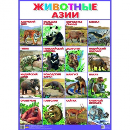 Книги, книга Плакат. Животные Азии (550х770) купить по скидке