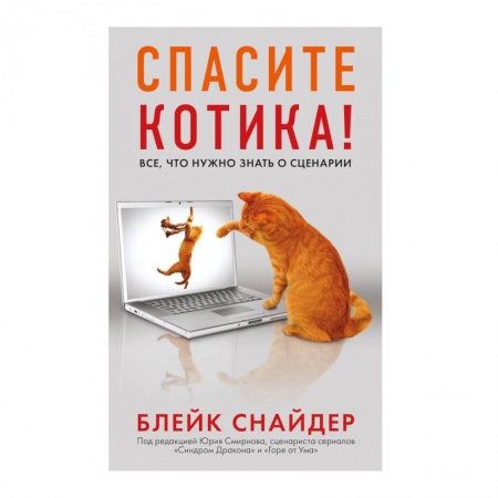 Литературная критика, книга Спасите котика! Все, что нужно знать о сценарии купить по скидке