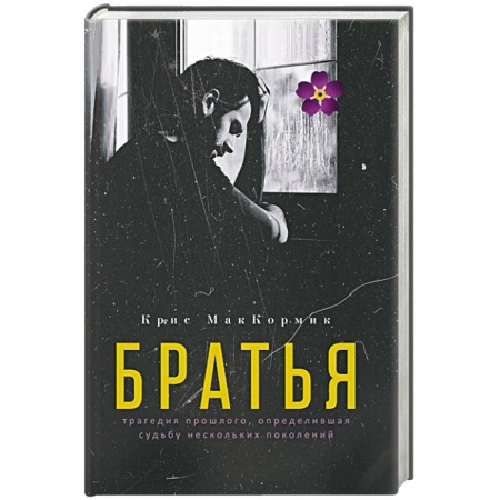 Зарубежная современная проза, книга Братья купить по скидке
