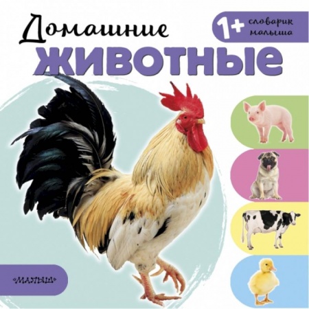 Развитие общих способностей, книга Домашние животные купить по скидке