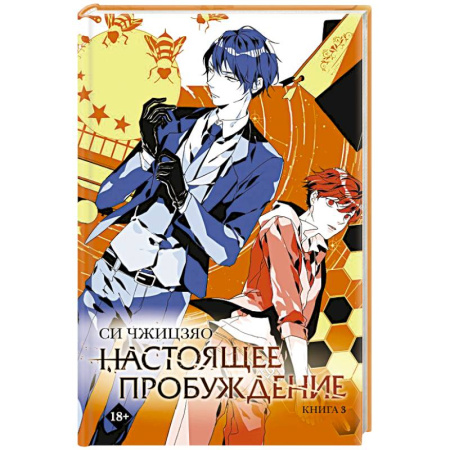 Мистика, ужасы, книга Настоящее пробуждение. Real Awakening. Книга 3 купить по скидке