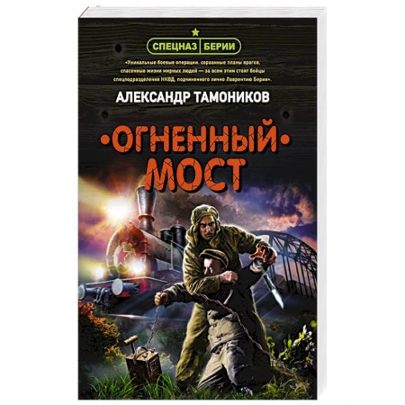 Исторический детектив, книга Огненный мост купить по скидке