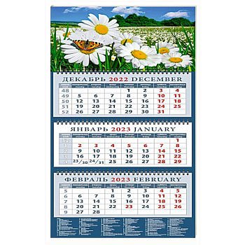 Календарь Пейзаж с ромашками и бабочкой, на 2023 год