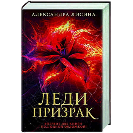 Русское фэнтези, книга Леди-призрак: Вакансия для призрака, Призрак на задании купить по скидке
