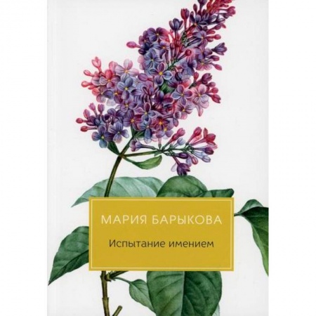 Русская современная проза, книга Испытание имением купить по скидке