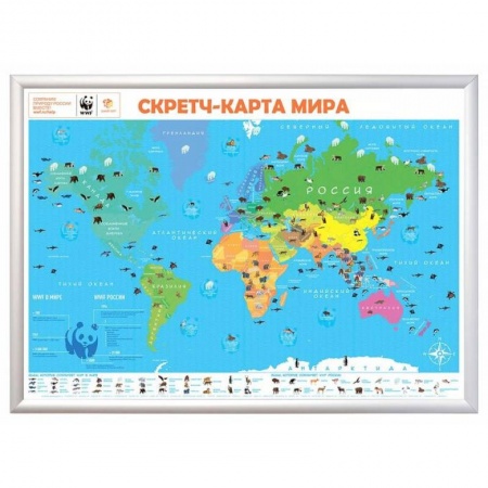 Атласы. Карты, книга Скретч-карта мира А1 'WWF. Orange Edition' купить по скидке