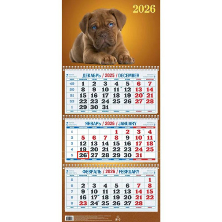 Календарь 2026г. Забавный щенок