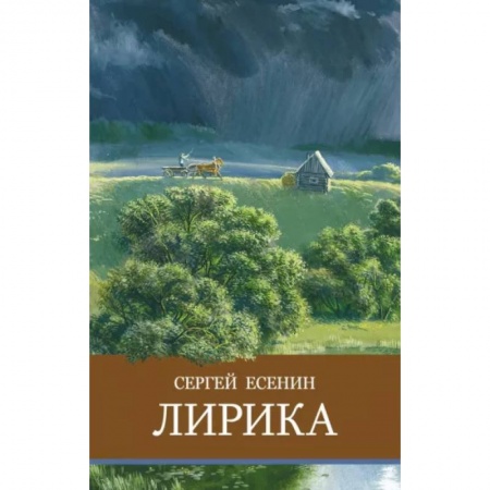 Русская поэзия для детей, книга Лирика купить по скидке