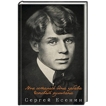 Мне осталась одна забава. Исповедь хулигана