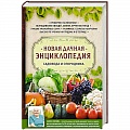 Овощные культуры. Грибы Овощные культуры. Грибы