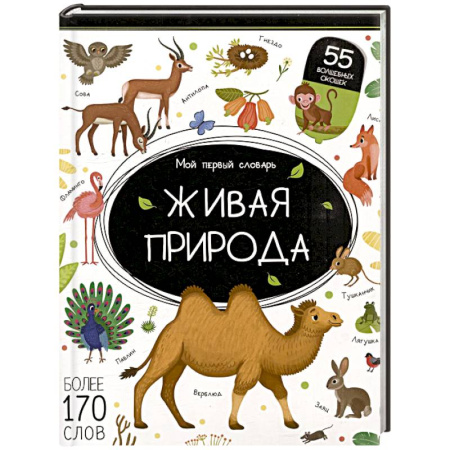 Азбука. Букварь, книга Мой первый словарь. Живая природа купить по скидке