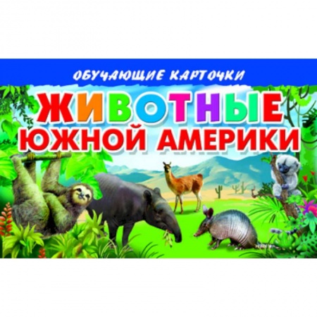 Книги, книга Карточки. Животные Южной Америки купить по скидке