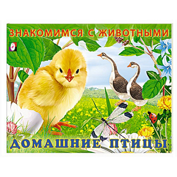 Домашние птицы