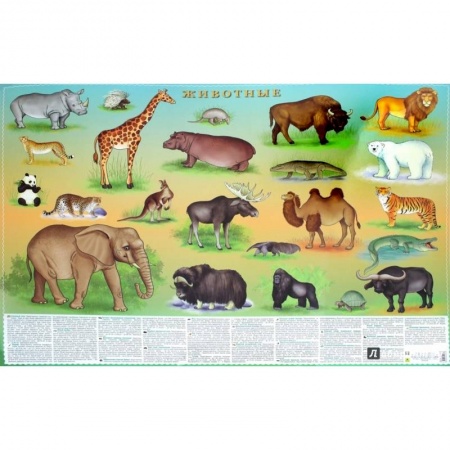 Образовательные системы. 1-4 классы, книга Животные. Цифры и факты. Настольное издание купить по скидке