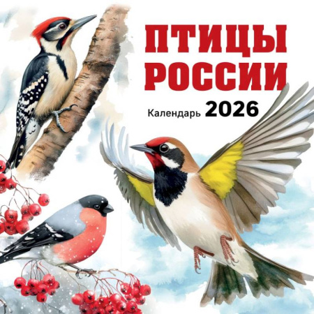 Птицы России. Календарь настенный на 2026 год