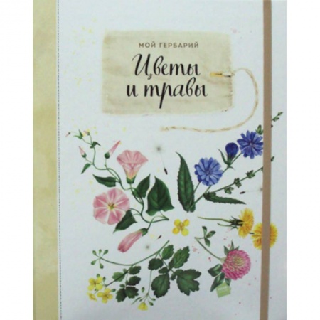 Школьникам и абитуриентам, книга Мой гербарий. Цветы и травы купить по скидке