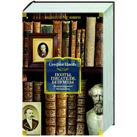 Мемуары, биографии деятелей культуры, искусства, книга Поэты, писатели, безумцы. Литературные биографии купить по скидке