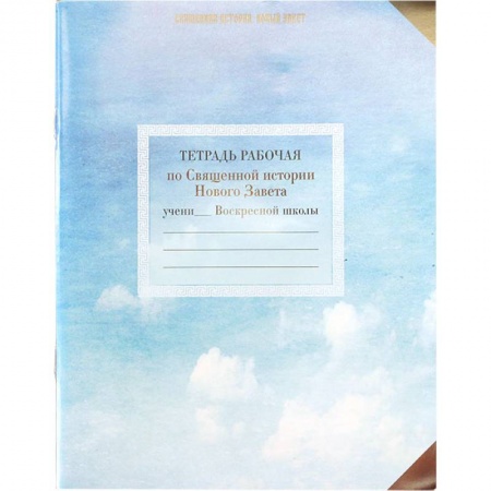 Православие, книга Священная история Нового Завета. Рабочая тетрадь купить по скидке