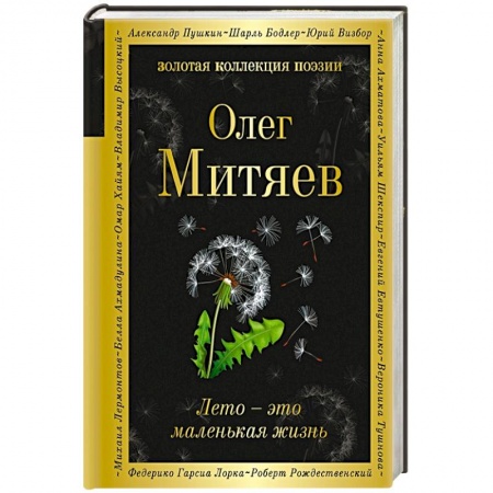 Русская поэзия, книга Лето - это маленькая жизнь купить по скидке
