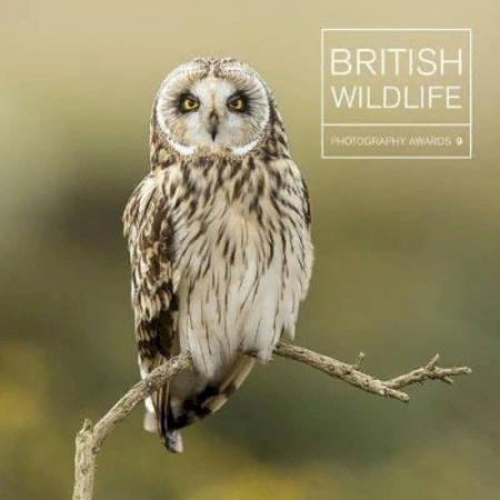 Чтение на английском языке, книга British Wildlife. Photography Awards 9 купить по скидке