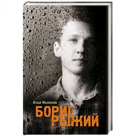 Мемуары, биографии деятелей культуры, искусства, книга Борис Рыжий. Дивий камень купить по скидке