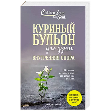 Психология, книга Куриный бульон для души. Внутренняя опора. 101 светлая история о том, что делает нас сильнее купить по скидке