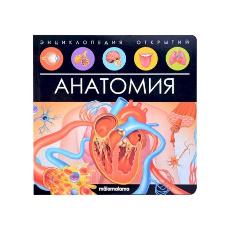 Книги для дошкольников (4-6 лет), книга Энциклопедия открытий. Анатомия купить по скидке