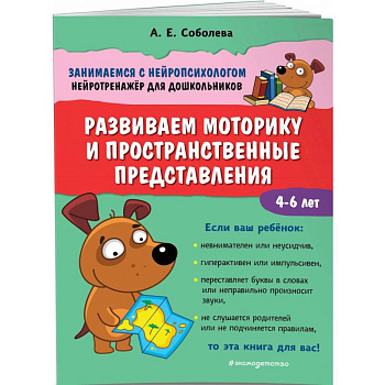 Развиваем моторику и пространственные представления Развиваем моторику и пространственные представления