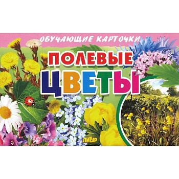 Карточки. Полевые цветы 